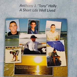 Blue Stars Above Book